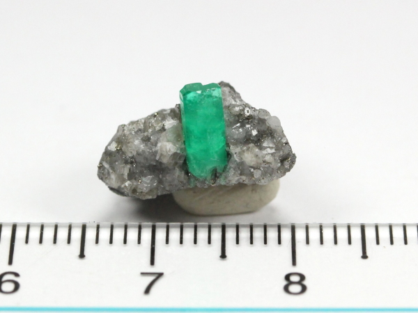 �G�������h