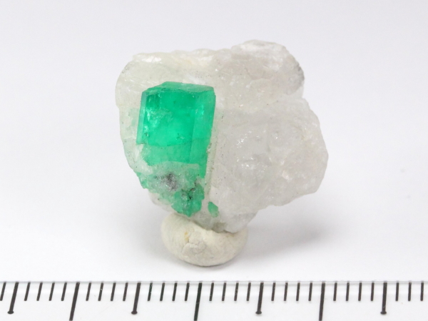 �G�������h