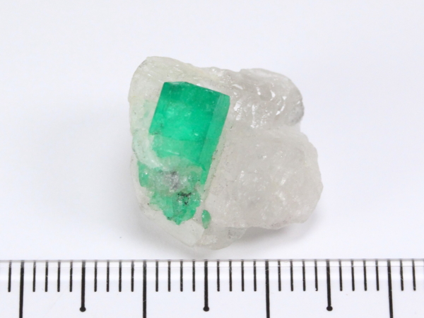 �G�������h