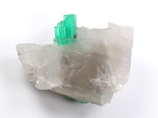 �G�������h