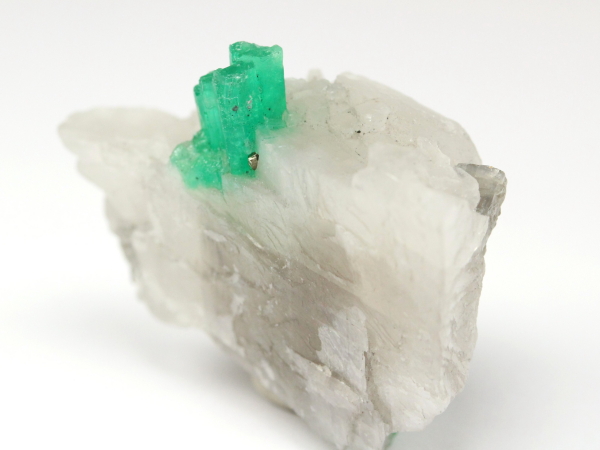 �G�������h