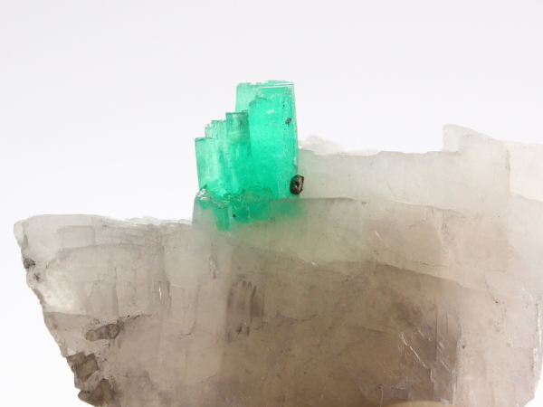 �G�������h