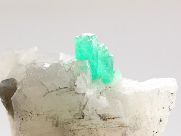 �G�������h