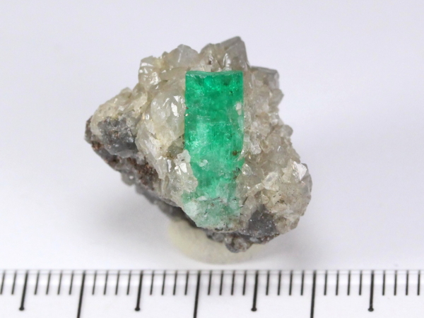 �G�������h