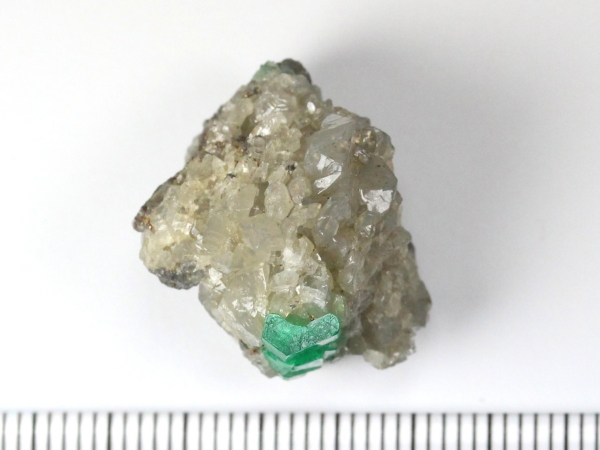 �G�������h