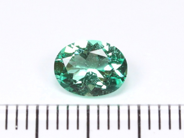 �m���I�C���G�������h