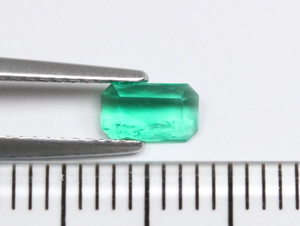 �G�������h