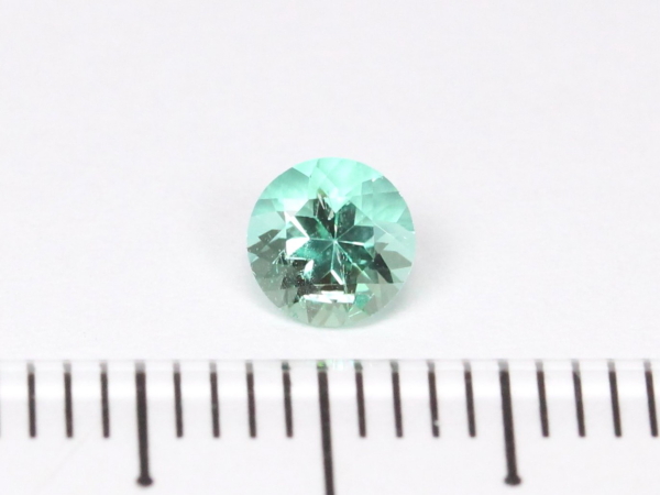 �m���I�C���G�������h