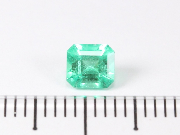 �m���I�C���G�������h