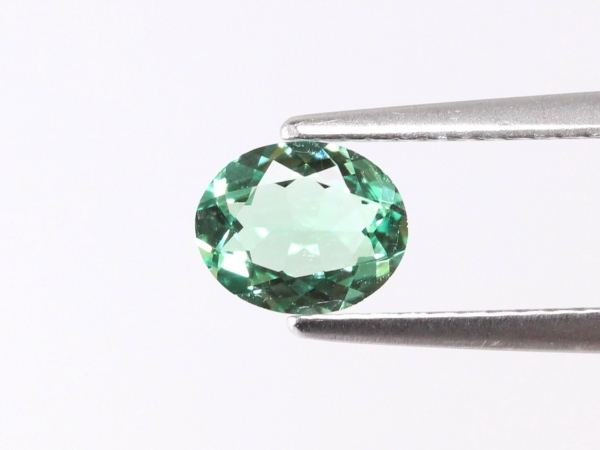 �G�������h