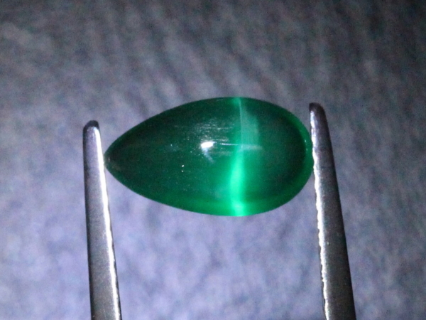 �G�������h