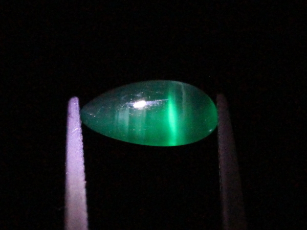 �G�������h