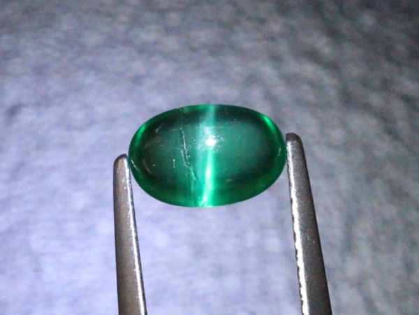 �G�������h