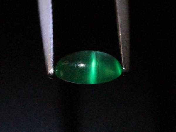 �G�������h