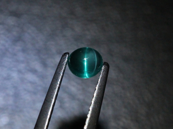 �G�������h