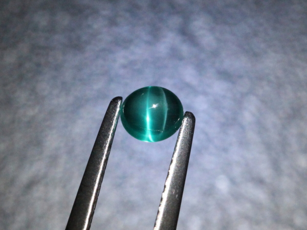 �G�������h