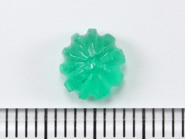 �G�������h