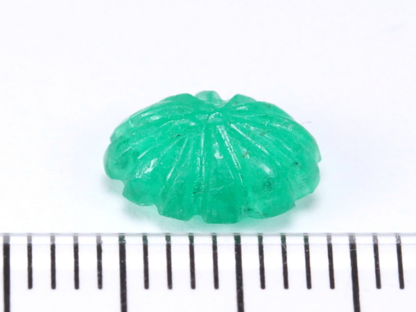 �G�������h