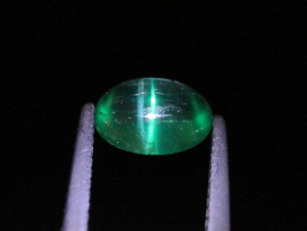 �G�������h