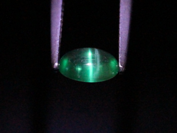 �G�������h