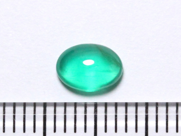 �G�������h