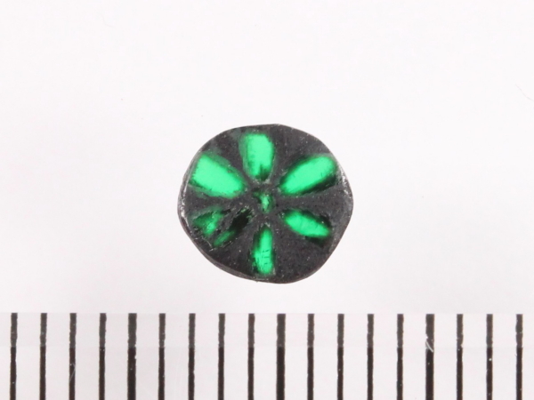 �G�������h