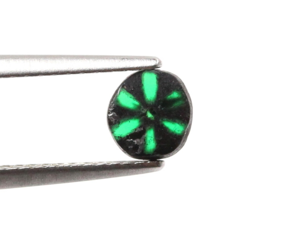 �g���s�b�`�F�G�������h