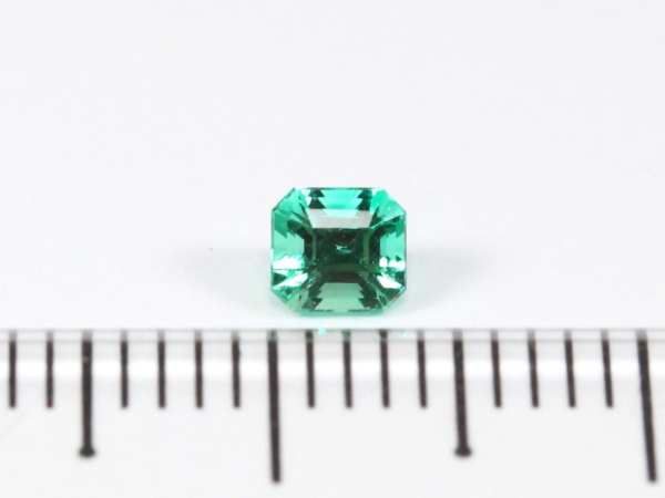 �m���I�C���G�������h