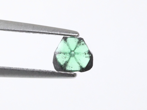 �g���s�b�`�F�G�������h