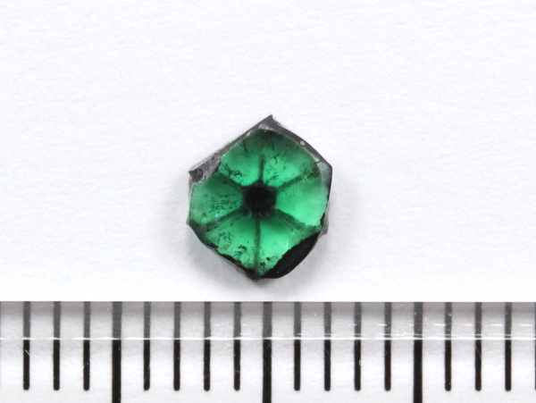 �g���s�b�`�F�G�������h