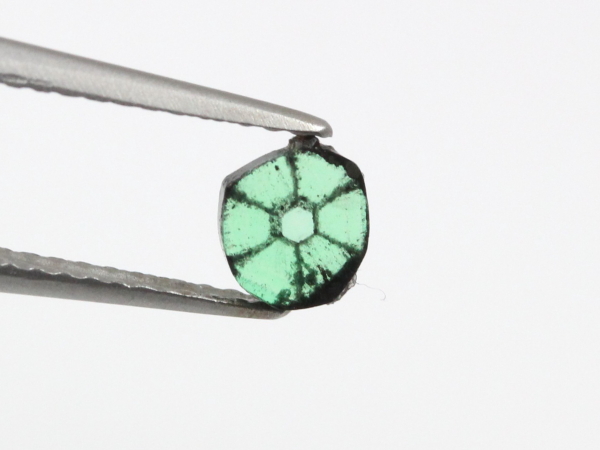 �g���s�b�`�F�G�������h