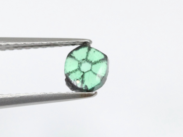 �g���s�b�`�F�G�������h