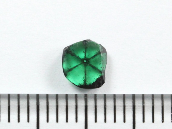 �g���s�b�`�F�G�������h