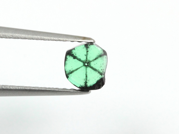 �g���s�b�`�F�G�������h