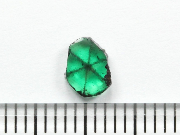 �G�������h