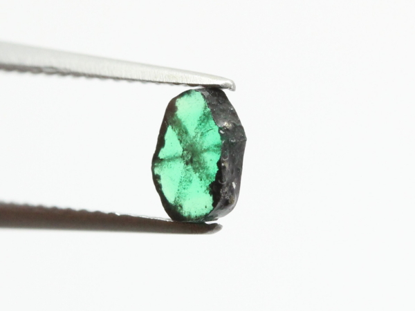 �g���s�b�`�F�G�������h