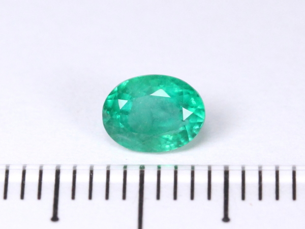 �G�������h