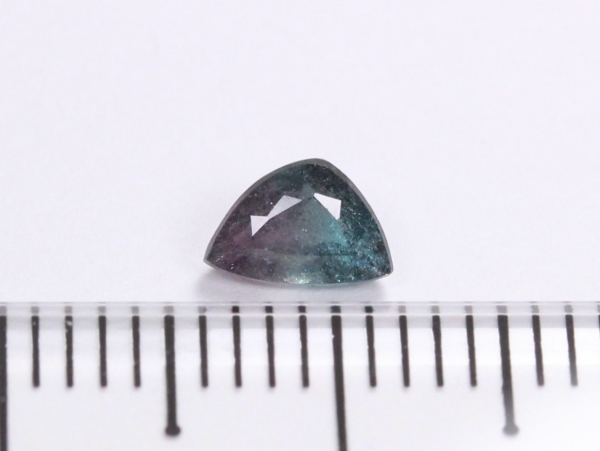 pCog}