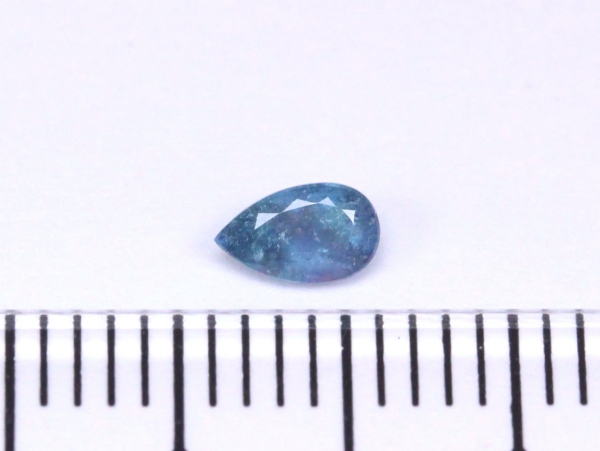 �p���C�o�g���}����