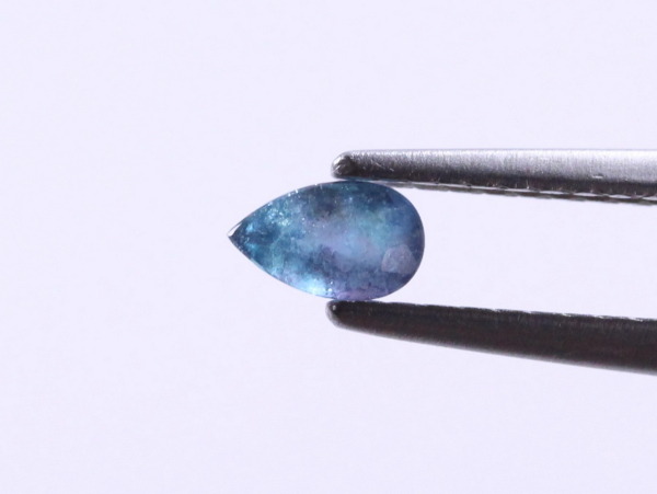 �p���C�o�g���}����