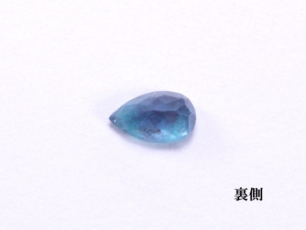 �p���C�o�g���}����