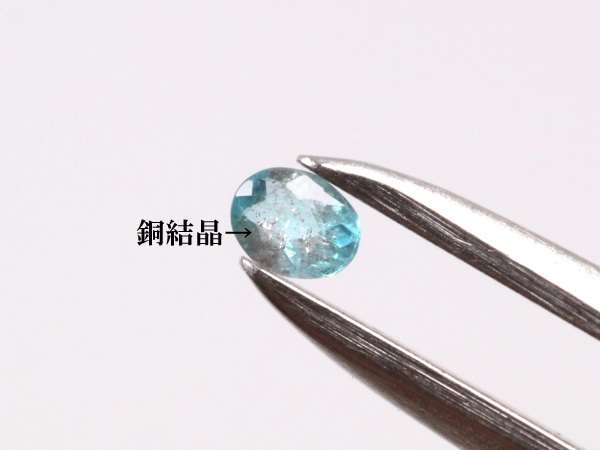 �p���C�o�g���}����