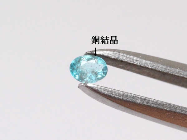 �p���C�o�g���}����