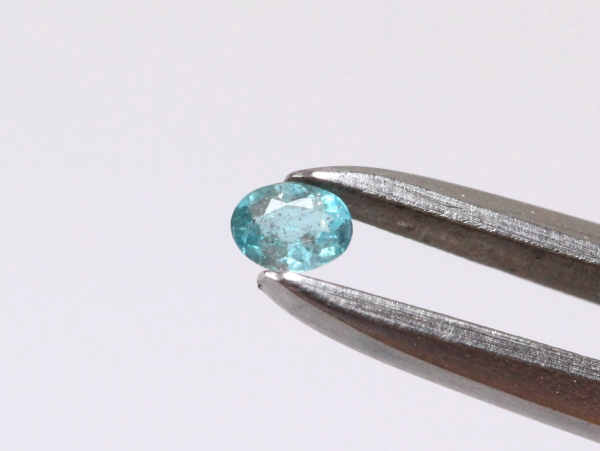 �p���C�o�g���}����