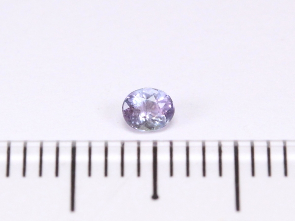 �p���C�o�g���}����