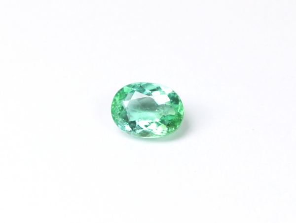 �p���C�o�g���}����