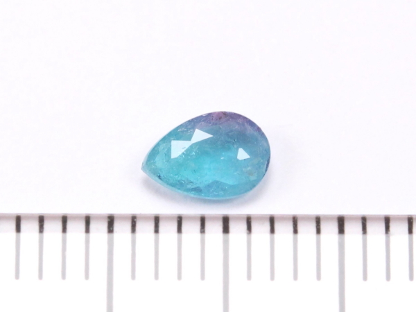 �p���C�o�g���}����