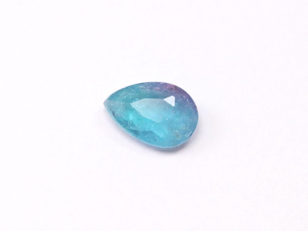 �p���C�o�g���}����