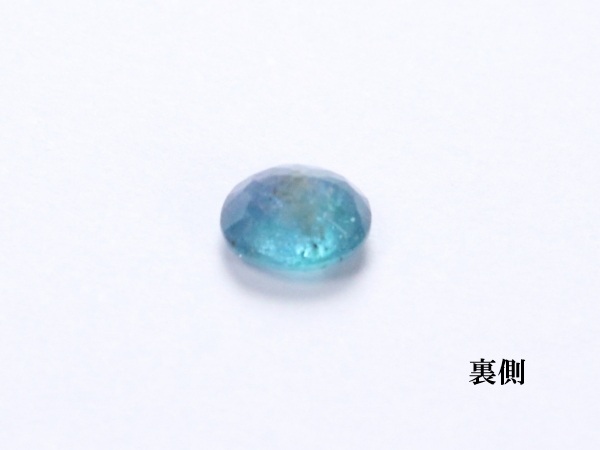 �p���C�o�g���}����