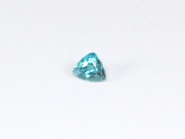 �p���C�o�g���}����